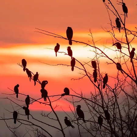 Torre Del Primaro 아파트 *