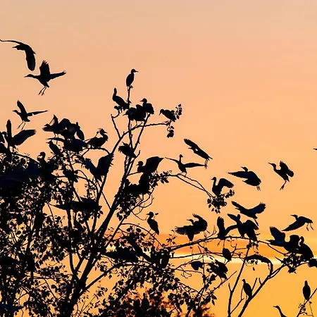 Torre Del Primaro Apartmán *