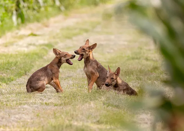 Torre Del Primaro Apartmán Argenta