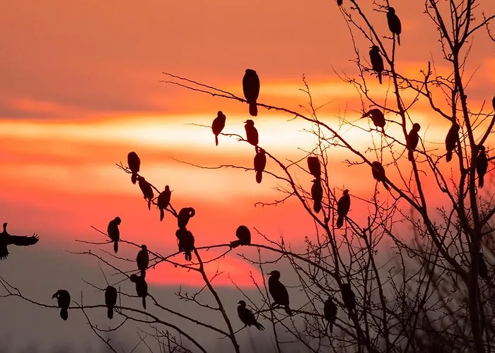 Torre Del Primaro Apartmán *