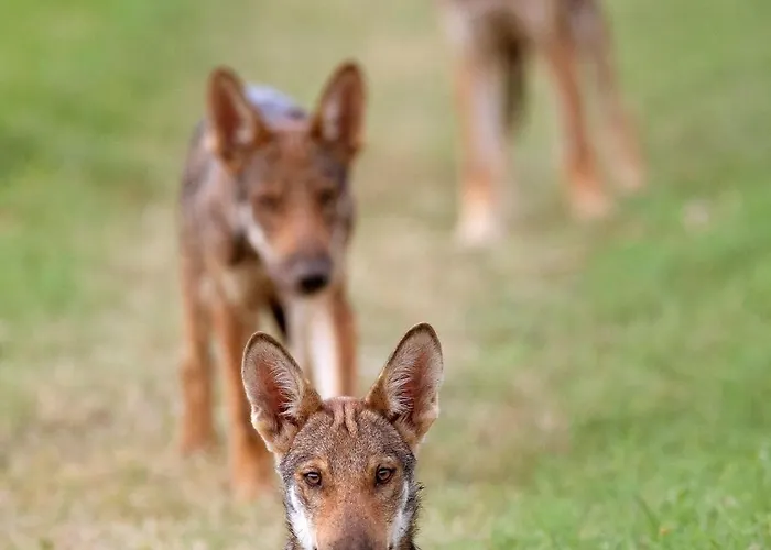 Torre Del Primaro Appartement