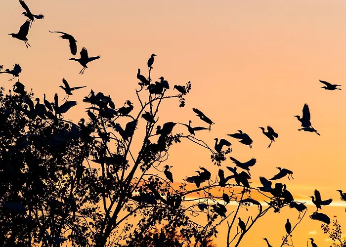 Torre Del Primaro Apartmán *